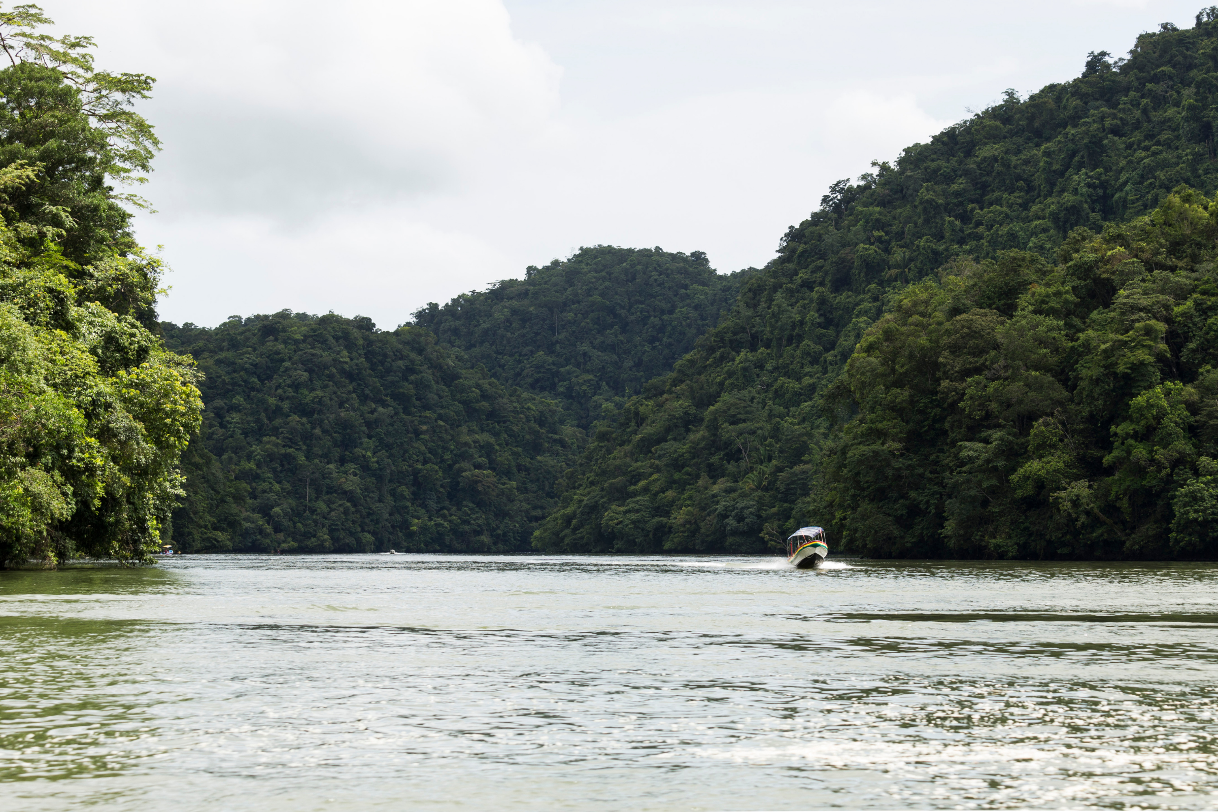 rio dulce (2).webp